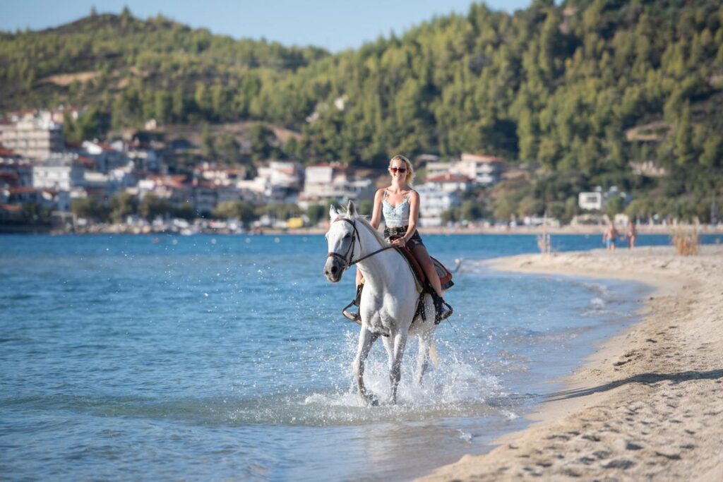 Εικόνα εξωφύλλου καταχώρησης