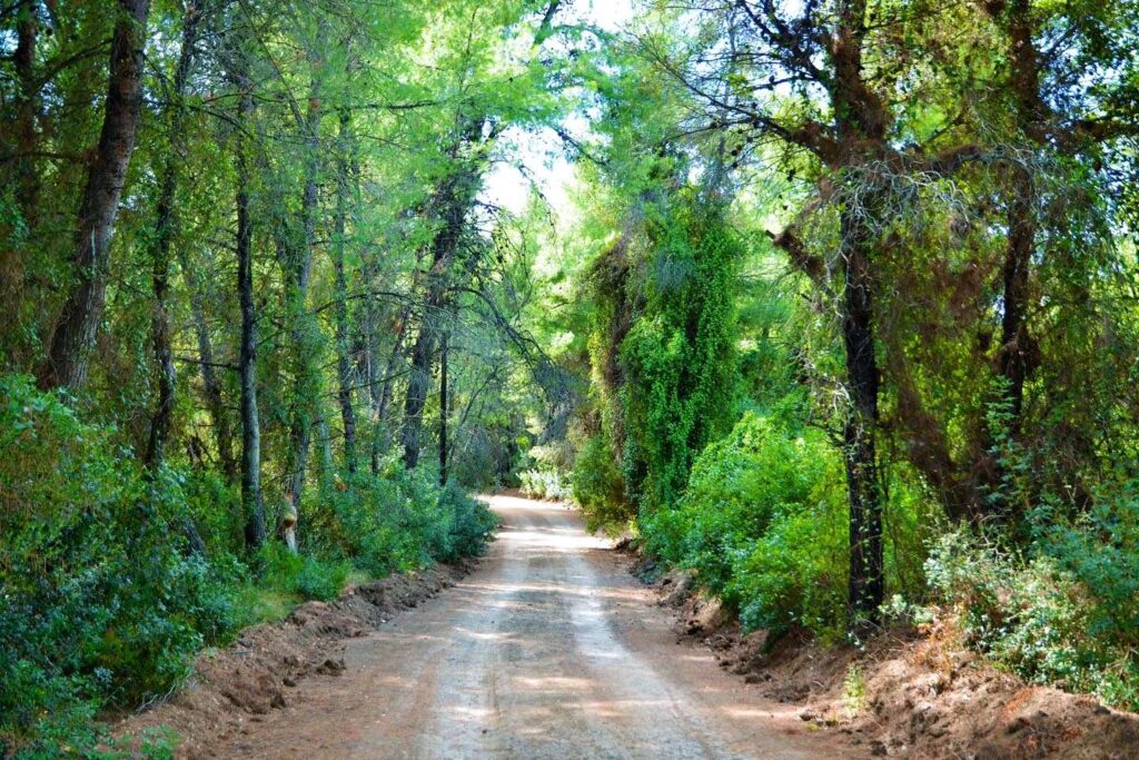 Εικόνα εξωφύλλου καταχώρησης
